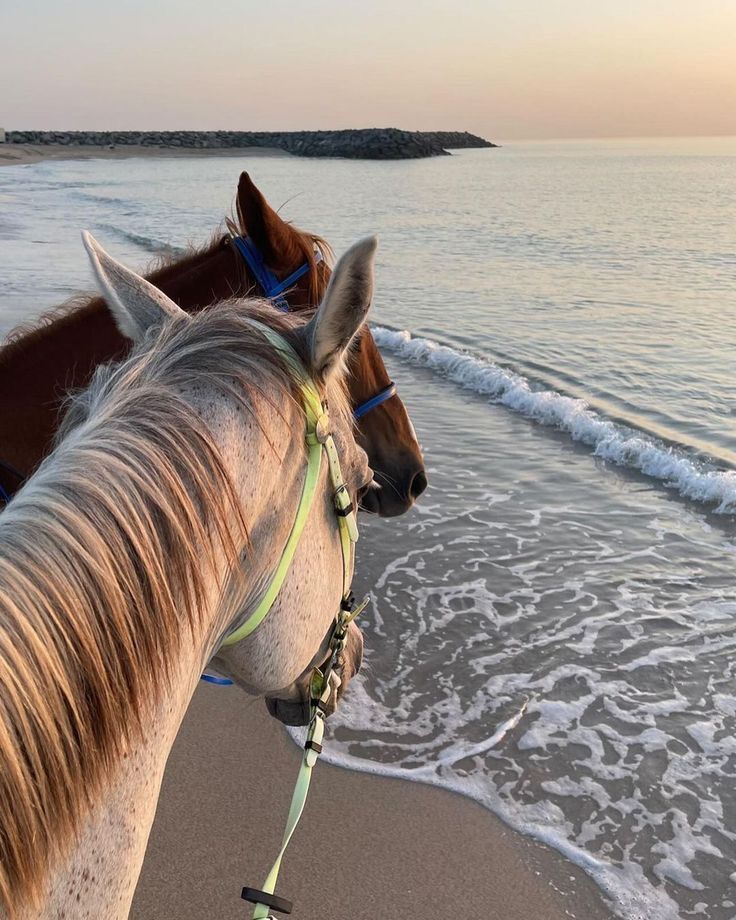 Essaouira – Sunset Rides Along the Wild Atlantic Coast of Morocco