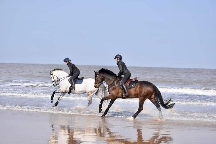 Santorini – Horseback Rides Through Volcanic Landscapes & Black Sand Beaches