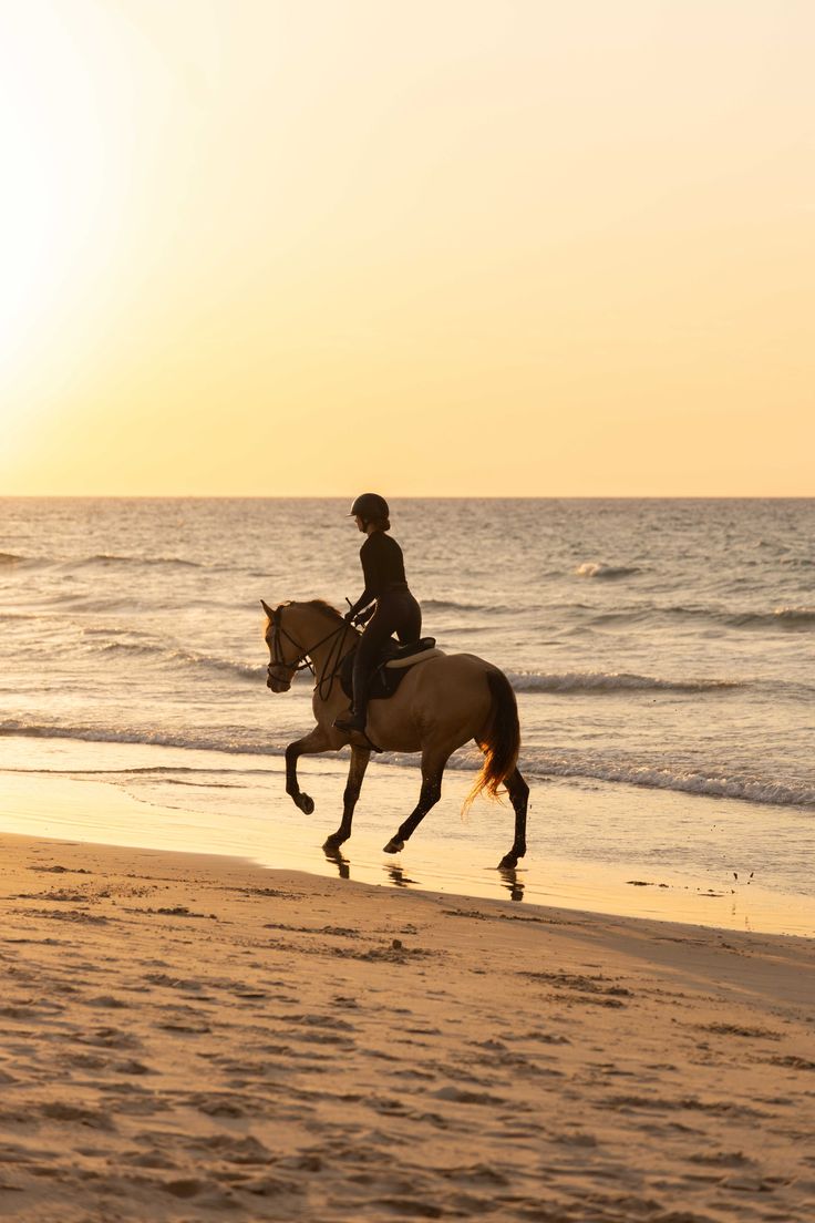 Essaouira – A Horseback Journey from the Atlantic Shore to the Sahara