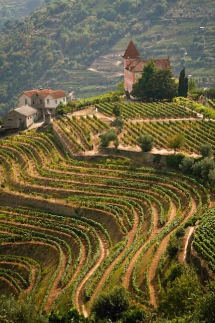 Douro Valley – A Hillside Wine Estate with Infinity Pool & River Views