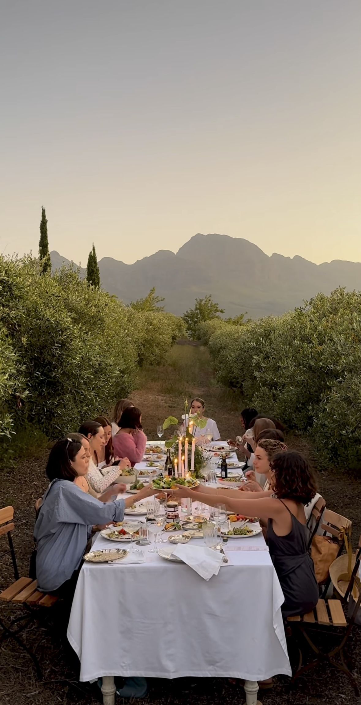 Catalonia Art Nouveau Wine Tour with Lunch & Vineyard Tastings