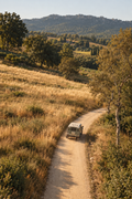 Saint-Tropez: A Private 4x4 Vineyard Safari & Wine Tasting