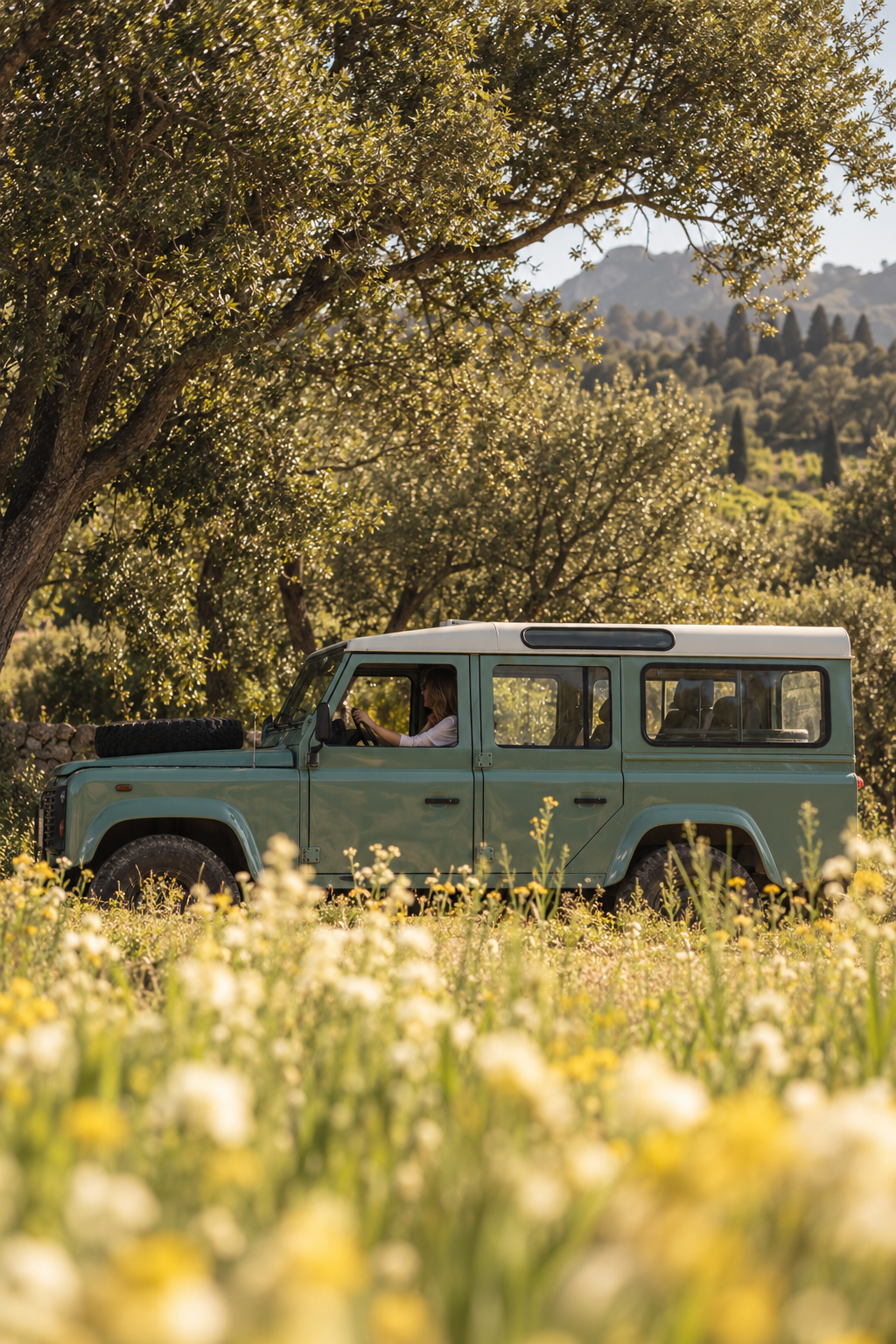 Saint-Tropez: A Private 4x4 Vineyard Safari & Wine Tasting