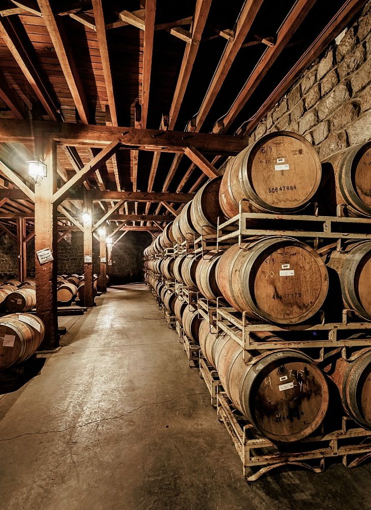 Discover Graves: Luxury Wine, Gourmet Dining & Vineyard Escape