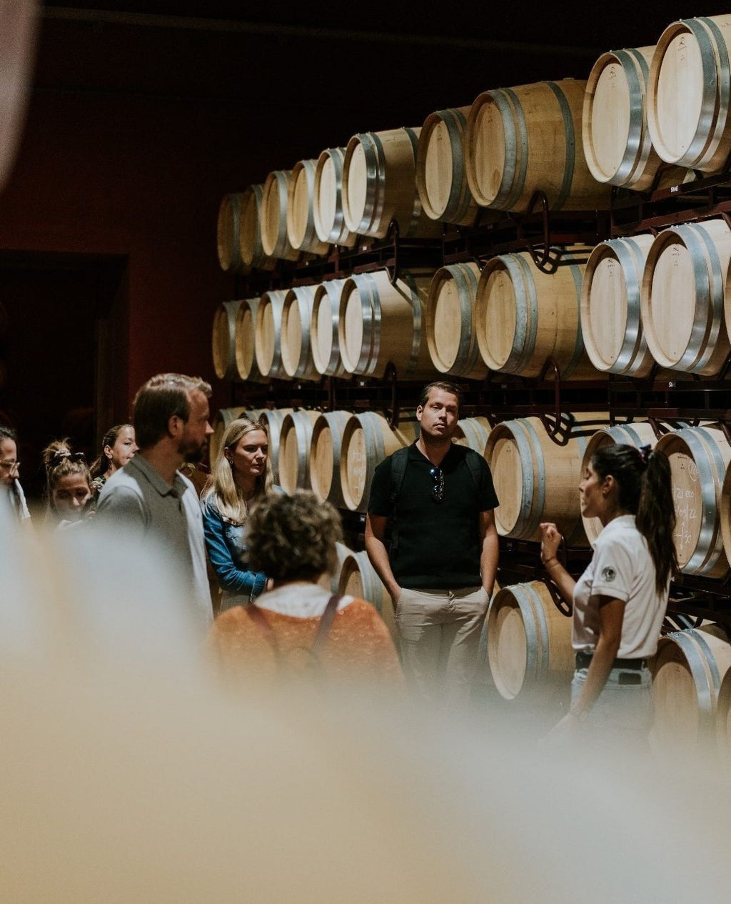 Organic Wine Tasting & Gourmet Lunch in Penedès Vineyards