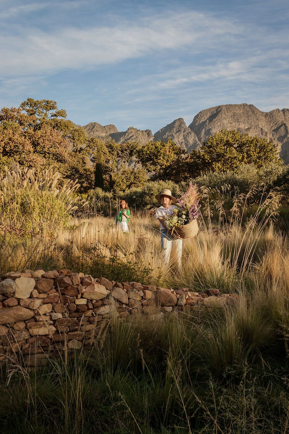 Franschhoek - A Deep Healing Journey on a Mystical Wellness Farm