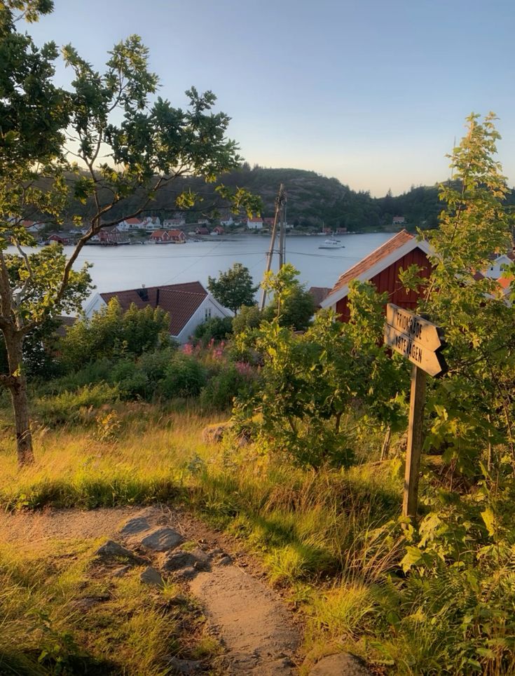 Norway: Journey Through Sunnmøre on an Authentic Icelandic Horseback Adventure