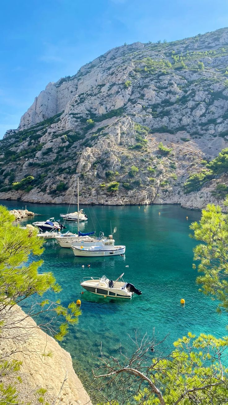 Costa Brava Gourmet Sailing Tour with Sea Urchin & Cava Tasting