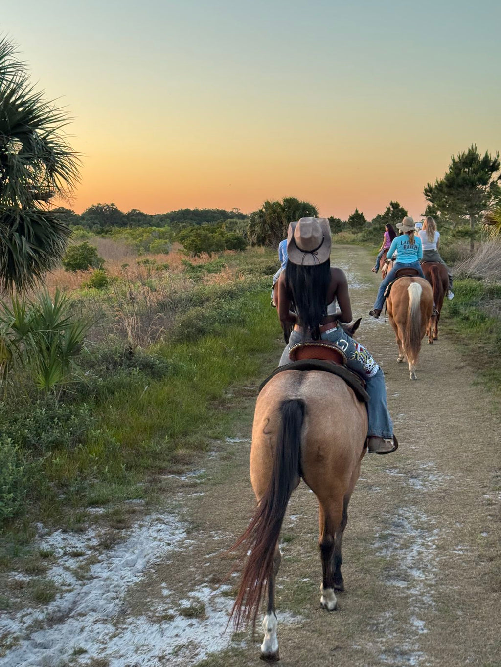 Algarve: Scenic Coastal Horse Riding Experience with Picnic & Beach Adventure