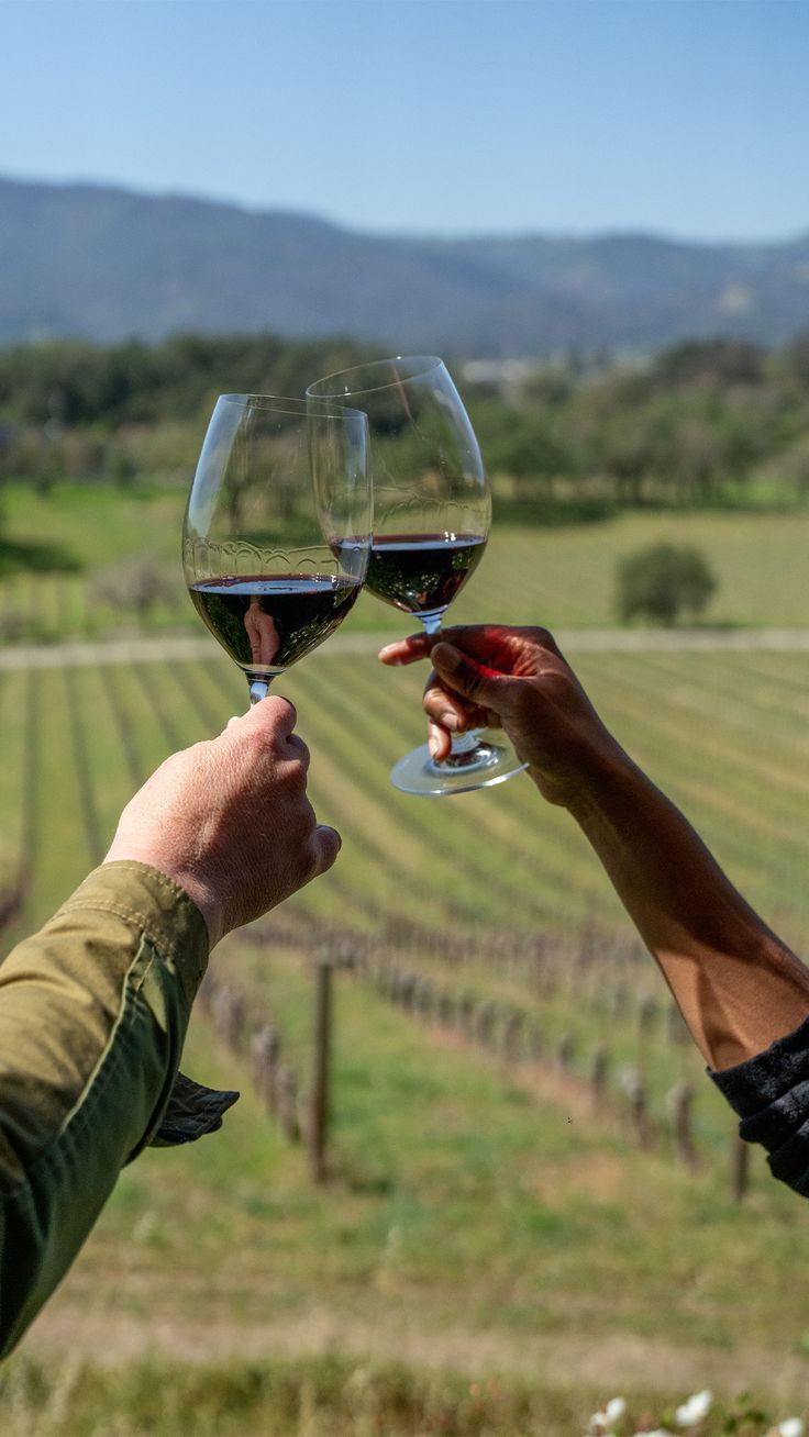 Penedès Wine Tasting & Catalan Cooking Class Experience