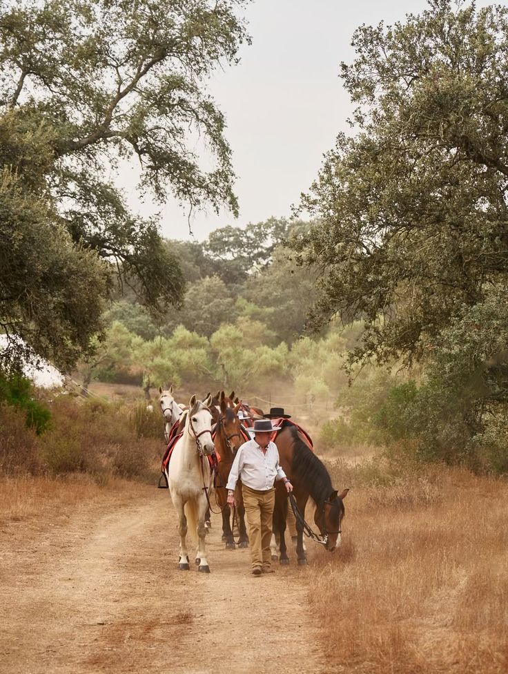 Andalusia: A Life on Horseback Under the Sun