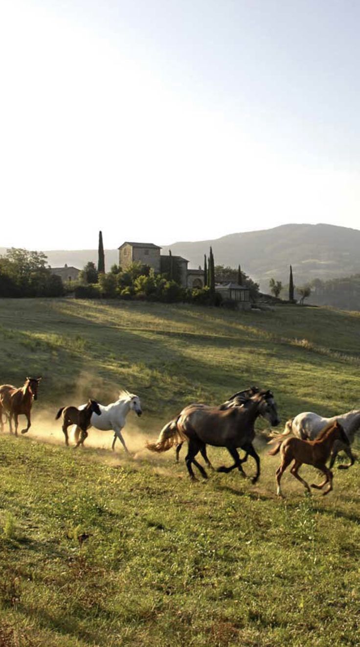 Chianti – A Horseback Escape Through the Hills of Tuscany