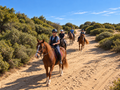 Algarve: A Coastal Horseback Ride through the Nature Reserve