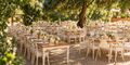 Algarve: A Mediterranean Garden Wedding beneath the Olive Trees