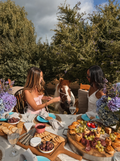 Cape Town: Private Horseback Ride & Picnic – Countryside Trails and Time with Ponies
