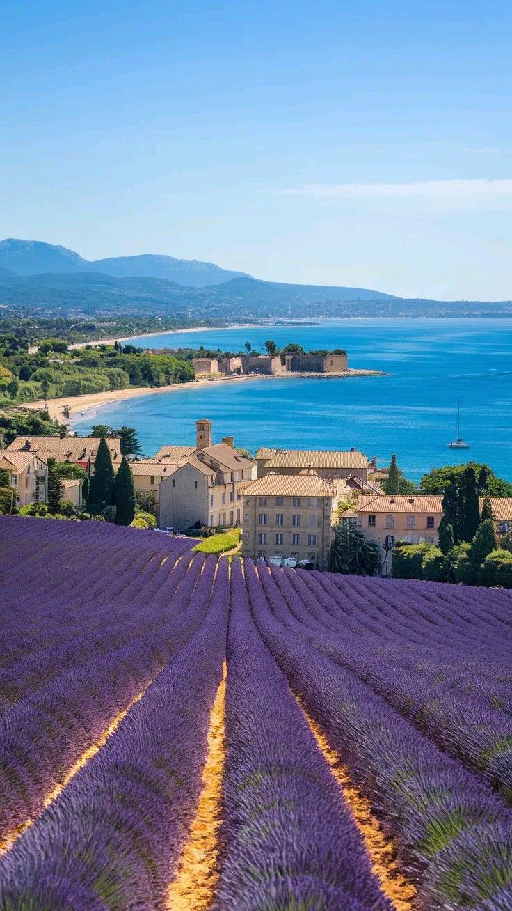 Provence – A Lavender Countryside Wellness Escape