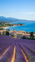 Provence – A Lavender Countryside Wellness Escape