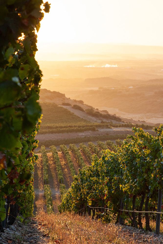 Douro Valley – A Hillside Wine Estate with Infinity Pool & River Views