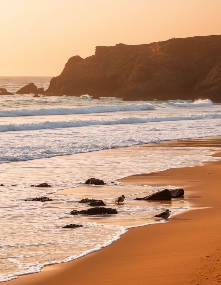 Essaouira – Sunset Rides Along the Wild Atlantic Coast of Morocco