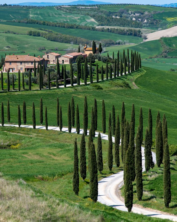 Tenuta d’Arbia – A Journey Through the Soul of the Crete Senesi