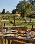 Barcelona: A Vineyard Tour with Gourmet Tapas & Wine Tasting