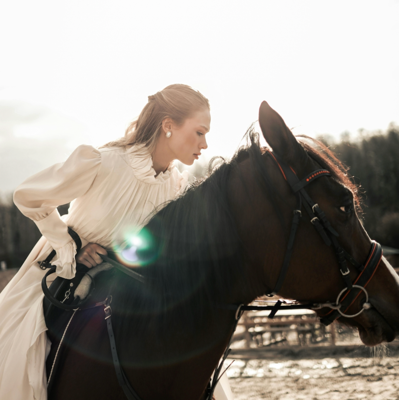 Bordeaux: Private Horseback Ride & Wine Tasting
