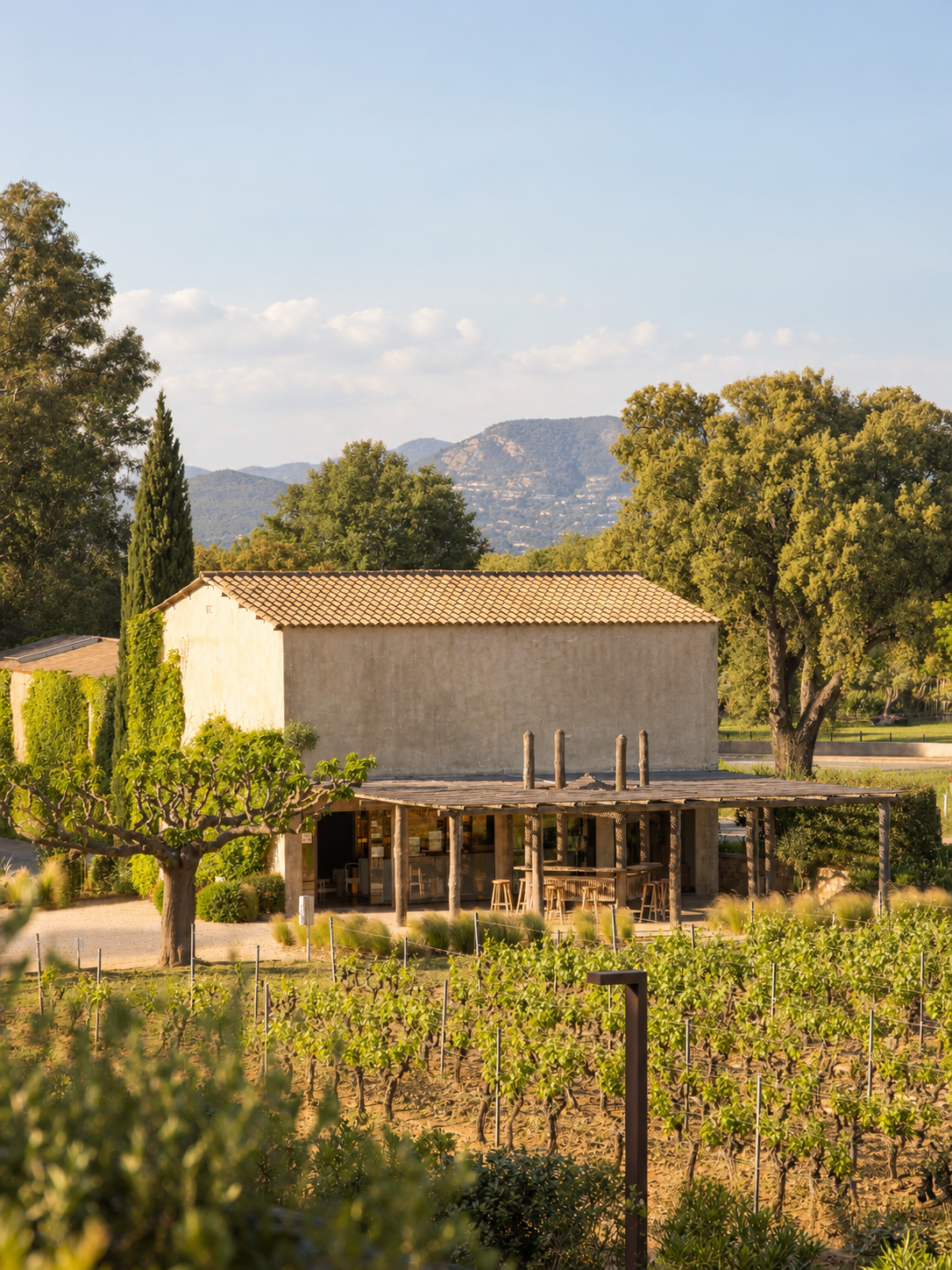 Saint-Tropez: A Sensory Blind Wine Tasting in the Vineyards