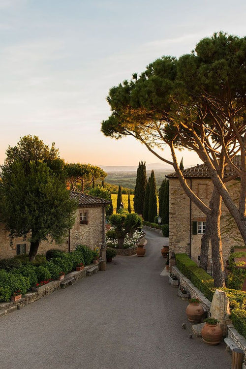 Bolgheri Super Tuscan Wine Journey