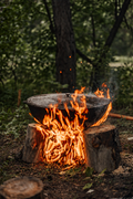 Cape Town: A Wild Food Foraging & Fire-Cooked Feast