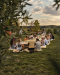 Mallorca: Customized Company Event