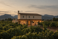 Mallorca: A Private Wine & Heritage Journey Through Fornalutx, Sóller and Sa Cabana with Private Transport for Up to Three Guests