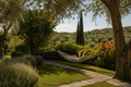 Tuscany: A Hillside Escape Among Olives and Lavender