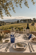 Douro Valley: A Vineyard Dinner with Douro Wine