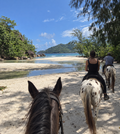 Mahé: A Scenic Horseback Ride Along the Beach