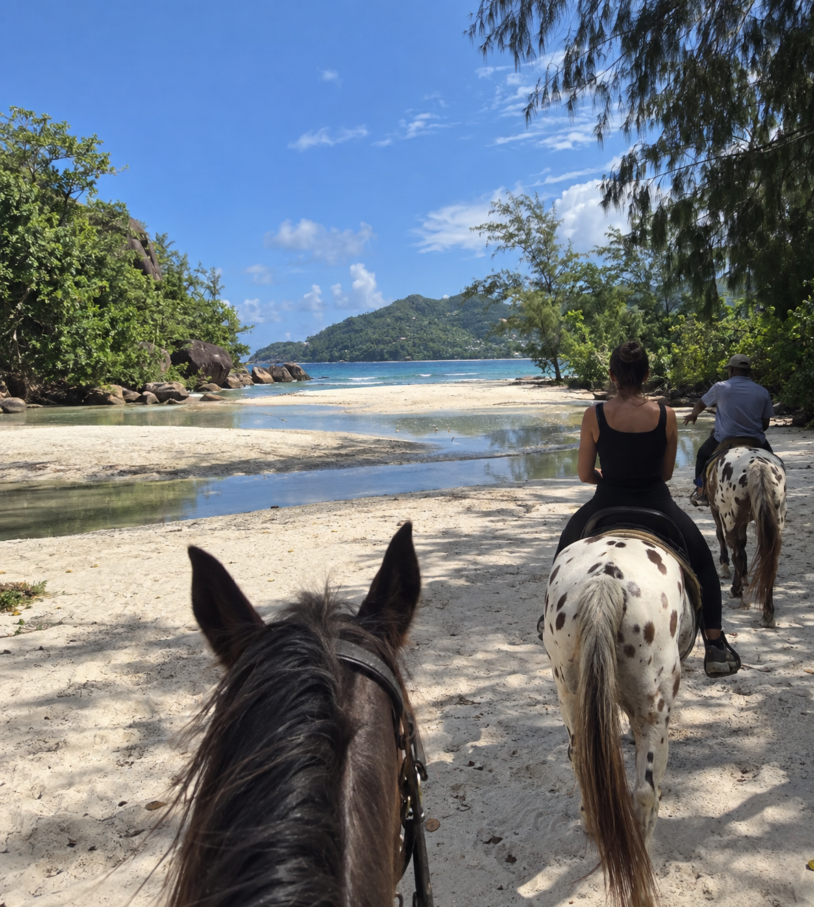 Mahé: A Scenic Horseback Ride Along the Beach