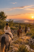 Istria: A Countryside Horseback Ride with Wine Tasting