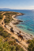 Istria: A Scenic Horseback Ride Along the Coast