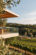 Istria: An Excellence Wine Tasting with Istrian Bites