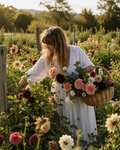 Cape Town: A Morning of Dahlias on a Constantia Farm