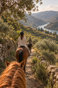 Douro Valley: A Mountain Horseback Ride with Wine & Lunch