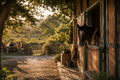 Tuscany: Countryside Horse Ride and Garden Breakfast