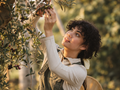 Mallorca: Gather at Aubocassa — Olive Oil, Wine & Island Flavours