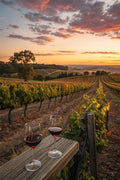 Kakheti – A Boutique Vineyard Stay with Georgian Wine Experiences