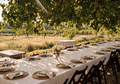 Barcelona: Vineyard Lunches – Wine, Local Flavours &  Time Together