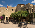 Barcelona: Authentic Wine Tour – Local Wines & Shared Moments