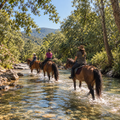 Saint-Tropez: A Scenic Horseback Ride with River Crossing