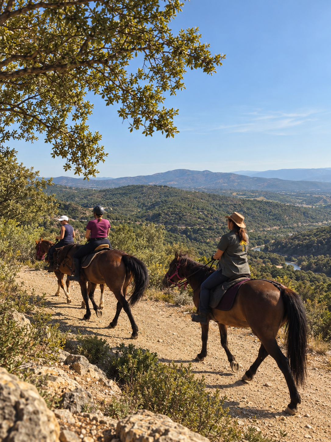 Saint-Tropez: A Scenic Horseback Ride with River Crossing