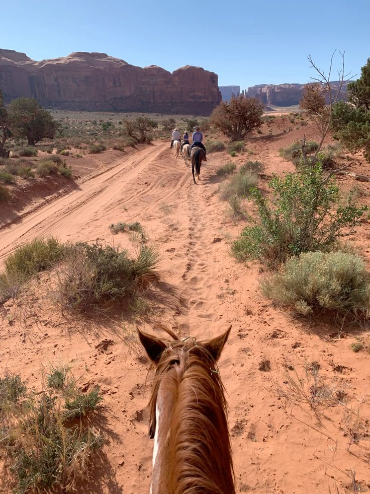 Tabernas Desert, Spain - Horseriding Experience in the Cinematic Trails of the Desert