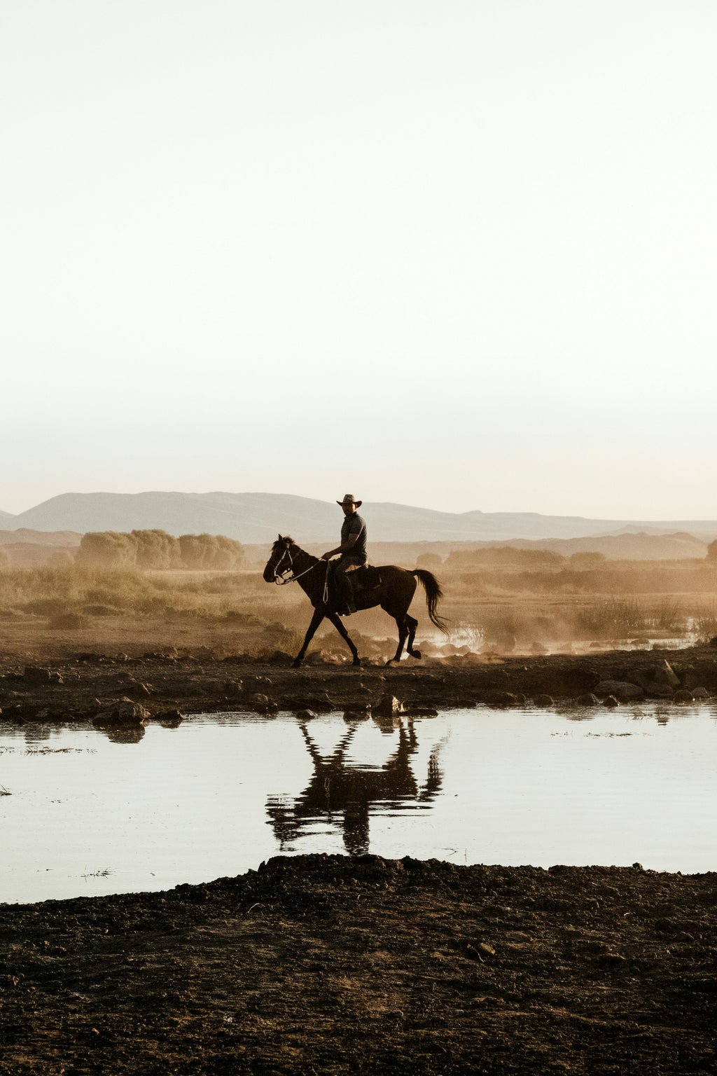 A slow horse riding experience in Santorini