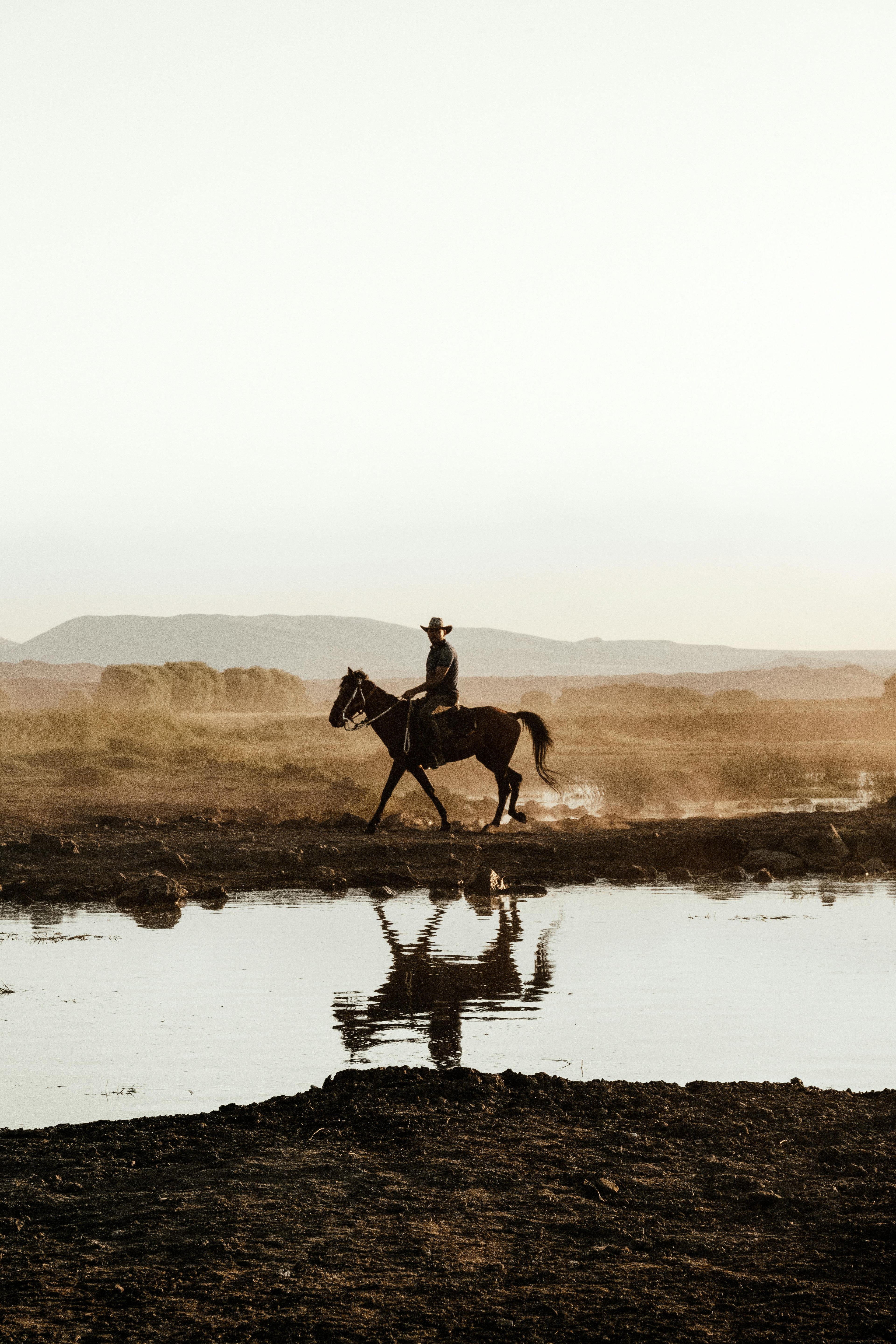 A slow horse riding experience in Santorini